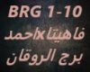 Fahita-Ahmed Saad-Borg E