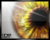 Eyescapes - Alacricity M