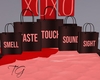 TG| 5 Senses Gift Bags