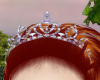 Perfect Diamond Crown