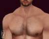 Z| GYM Body & Shorts
