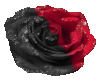 Black Red Rose Sticker