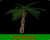 Palm Tree Airflows
