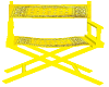 directors chair yellow