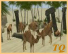 ~TQ~herd Camels