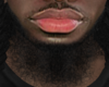 Asteri Beard #024