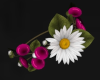 Fuchsia Daisy Bracelet