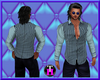 TH*Blue stripes silk
