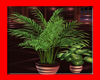 SK Potted Plant