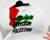 Free Palestine Outfit