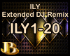 ILY Extended DJ Remix