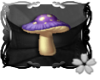 [Cn] Fungus