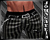 Dark Stripped Belted Pan