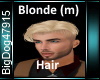 [BD]Blonde (m)