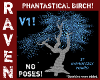 PHANTASTICAL BIRCH V1!