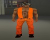 ~HD Orange Vest