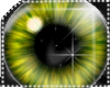 !LC™ iEnerz Eyes F-Yello