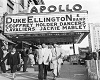 Apollo Vintage Frame