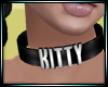 Dp Kitten Collar