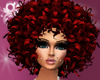 |*| BIG RED CURLY AFRO