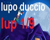 il lupo duccio