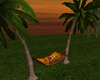 Sunset Palm Hammock