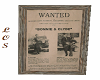 Wanted Bonnie & Clyde