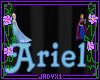 Ariel Frozen Name Sign