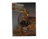 Whiskey CutOut
