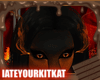 Flame Eye Smoke