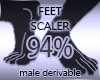 Feet Scaler 94%