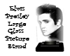 Elvis Glass Picture 