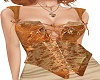 Old Cozy Corset