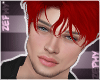 Z | Damien Ruby