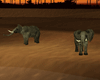 OASIS Elephant