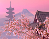 *W*Blossoms in Mountains