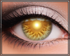 *Glowing Yellow Eyes*