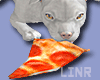 Dog White Hungry Pizza