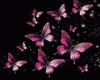 Background Anim.