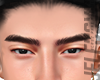 ♛Exclusive Eyebrows v2