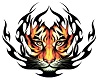Tiger Tattoo