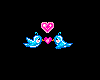 Tiny Blue Love Birds