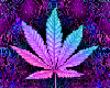 weed picture