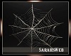 Hallowed Spider Web