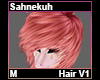 Sahnekuh Hair M V1