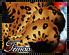 T|» Chiro Tail v5