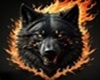 fire wolf  radio