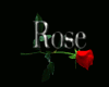 Red Rose Club