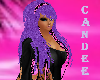*Candee*.Purple.Pink.Lep