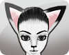 !! White Fox Ears